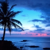 Blue Hawaii Karaoke Andy Williams