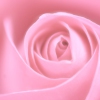 La Vie En Rose (Bublé! NBC Special)