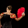 Flamenco y bachata