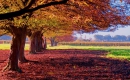 Autumn Leaves - Instrumentaali MP3 Karaoke- André Rieu
