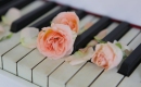 Karaoke de La vie en rose - Diana Krall - MP3 instrumental