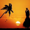 Karaoké Hawaiian Sunset Elvis Presley