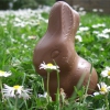 My Chocolate Easter Rabbit Karaoke Easter Songs