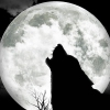 Karaoké Wolf Moon Type O Negative