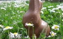 My Chocolate Easter Rabbit - Easter Songs - Instrumental MP3 Karaoke Download