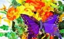 Butterfly (Version française) - Karaoke MP3 backingtrack - Danyel Gérard