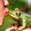 Karaoké Humains pour la vie The Princess and the Frog