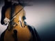 Instrumentale MP3 Fils de joie - Karaoke MP3 beroemd gemaakt door Stromae