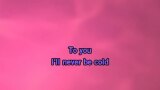 Video Karaoke Songbird - Fleetwood Mac - Karaoke Canzoni