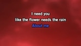 Singen I Need You Karaoke - America - MP3 Karaoke