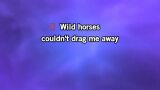 Singen Wild Horses Karaoke - The Rolling Stones - MP3 Karaoke