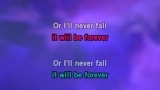 When I Fall in Love Karaoke - Céline Dion