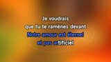 J't'emmène au vent Karaoke - Louise Attaque