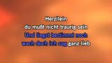 Video Karaoke Herzilein - Die Wildecker Herzbuben