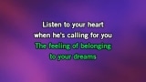 Video Karaoke Listen to Your Heart - Roxette