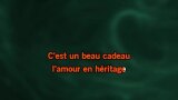 Karaoké L'amour en héritage - Nana Mouskouri