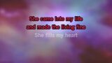 (Where Do I Begin?) Love Story Karaoke - Andy Williams