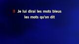 Karaoké Les mots bleus - Christophe