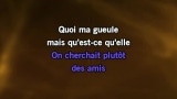 Video Karaoke Ma gueule (Stade de France 2009) - Johnny Hallyday - Karaoke Canzoni