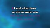 I Want a Cowboy Karaoke - Reba McEntire