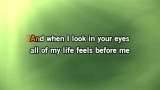 Video Karaoke This I Promise You - Ronan Keating