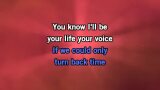 Video Karaoke Moments - One Direction