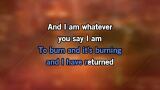 The Way I Am Karaoke - Eminem
