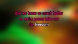 Karaoké Freedom - Panther