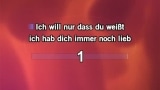 Video Karaoke Ich will nur - Philipp Poisel