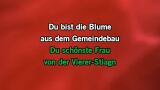 Die Blume aus dem Gemeindebau Karaoke - Wolfgang Ambros