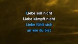 Karaoké Liebe ist - Adoro
