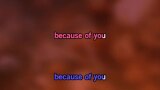 From This Moment On (duet) Karaoke - Shania Twain