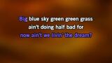 Karaoké Livin' the Dream - Drake White