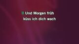 Singen Und morgen früh küss ich dich wach (Partyfoxmix) Karaoke - Helene Fischer - MP3 Karaoke