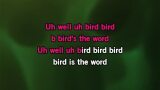 Surfin' Bird Karaoke - The Trashmen