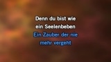 Video Karaoke Seelenbeben - Andrea Berg - Karaoke Canzoni