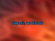 Singen Wahnsinn Karaoke - Wolfgang Petry - MP3 Karaoke