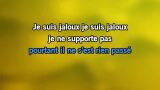Karaoké Je suis jaloux - Dany Brillant