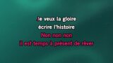 Karaoké Je veux tout (Acoustique) - Dreams : 1 rêve 2 vies