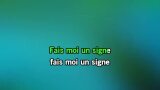 Karaoké Fais moi un signe - Gérard Palaprat