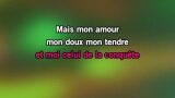 Karaoké La chanson des vieux amants - Christophe Willem