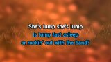Karaoké Lump - The Presidents of the United States of America