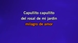 Singen Mi pequeña flor Karaoke - Manolo Escobar - MP3 Karaoke