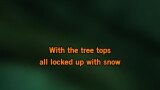 Karaoké The Wonderful World of Christmas (extended version) - Elvis Presley
