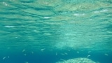 Underwater