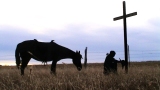 The Old Rugged Cross
