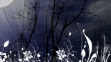Flor d'Luna (Moonflower)