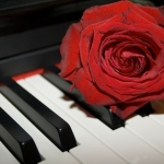 Karaoké Bed of Roses (Acoustic) Bon Jovi
