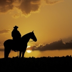 Karaoké The Cowboy Rides Away Shawn Cuddy