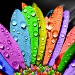 Karaoké Sunshine, Lollipops and Rainbows Lesley Gore